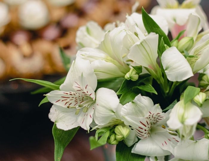 Банкетные залы - Гостиница «Золотой Колос» Москва (корпус 3)