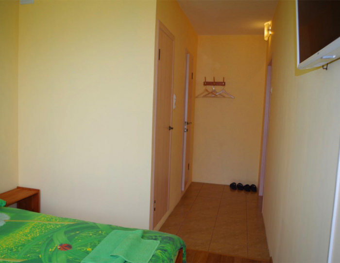 Номер стандарт с 1 двуспальной кроватью - Мини-отель Velvet / Вельвет Миасс