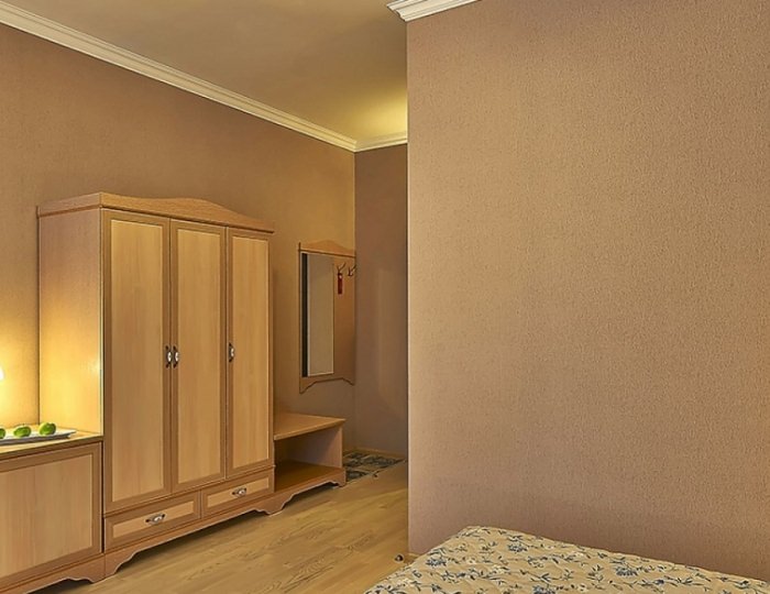 Стандарт TWIN - Парк-отель «Шереметьевский»