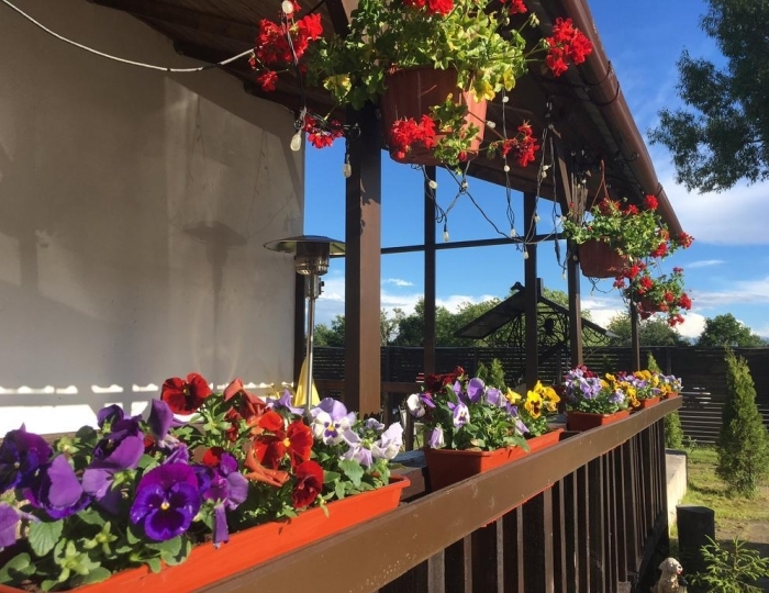 Гостевой дом «Куршале» Курово