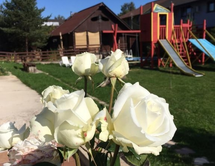 Услуги для детей - Гостевой дом «Куршале» Курово