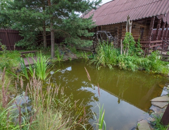 Гостевой дом «Куршале» Курово