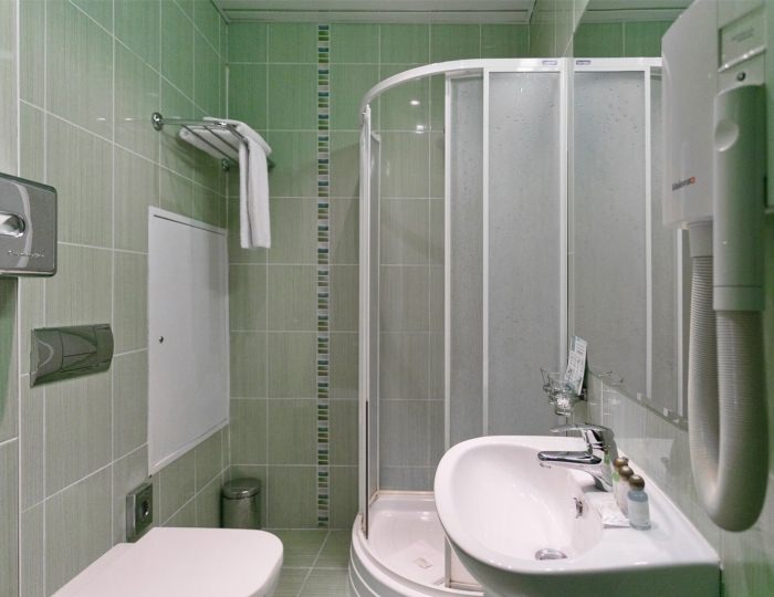 Одноместный - Отель «Бородино»