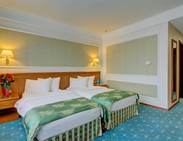 Стандарт TWIN - Отель «Бородино»