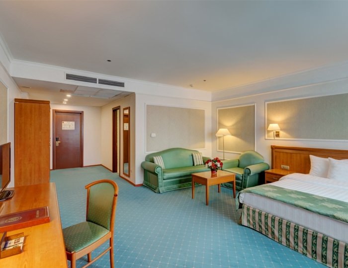 Стандарт DBL - Отель «Бородино»