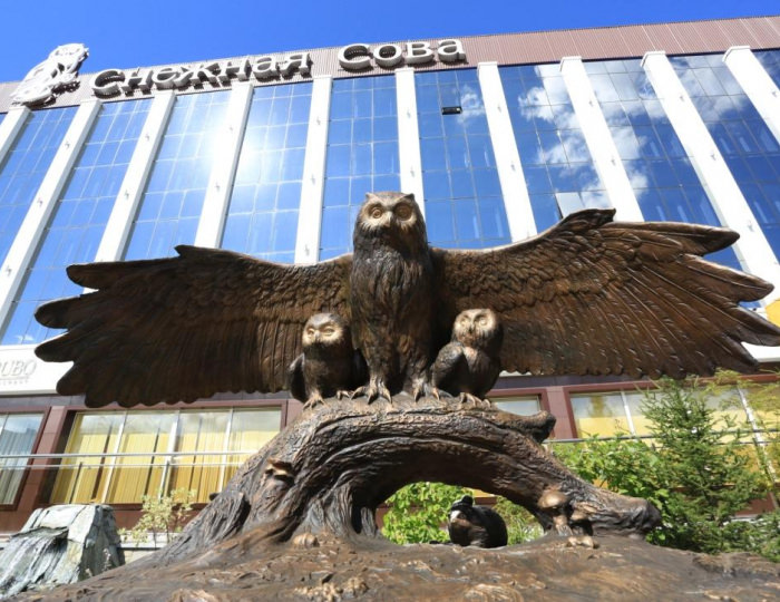 Отель «Снежная сова» Красноярск