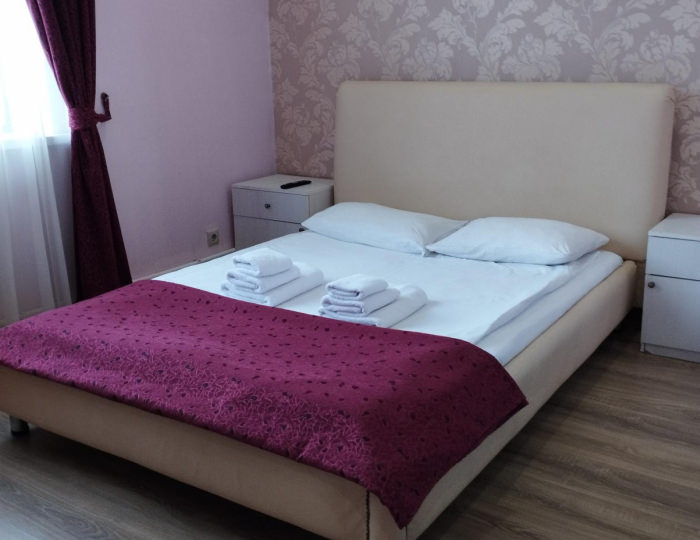 Номер стандарт эконом с 1 двуспальной кроватью - Мини-отель «XL Отель» Яхрома