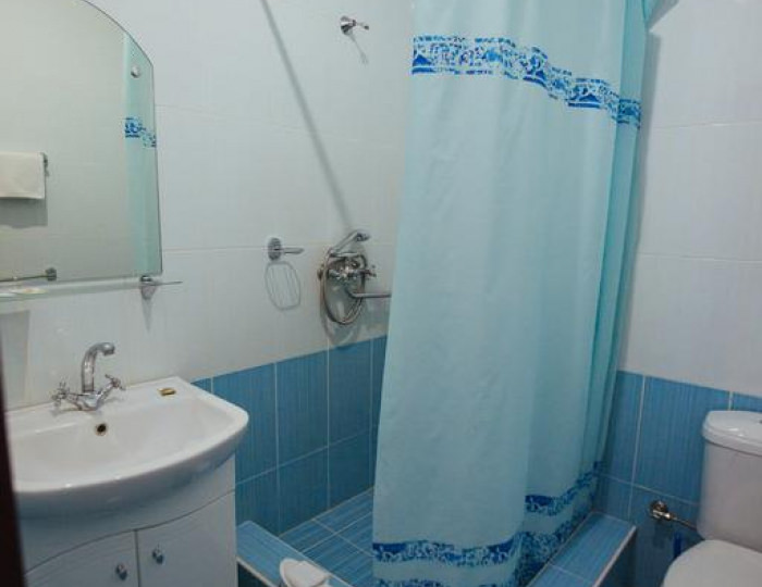 Номер стандарт с 1 двуспальной кроватью - Мини-отель «Версаль» Старый Оскол