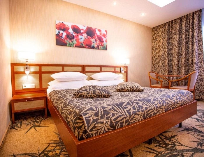 Стандарт плюс - Отель «Измайлово Альфа» Москва