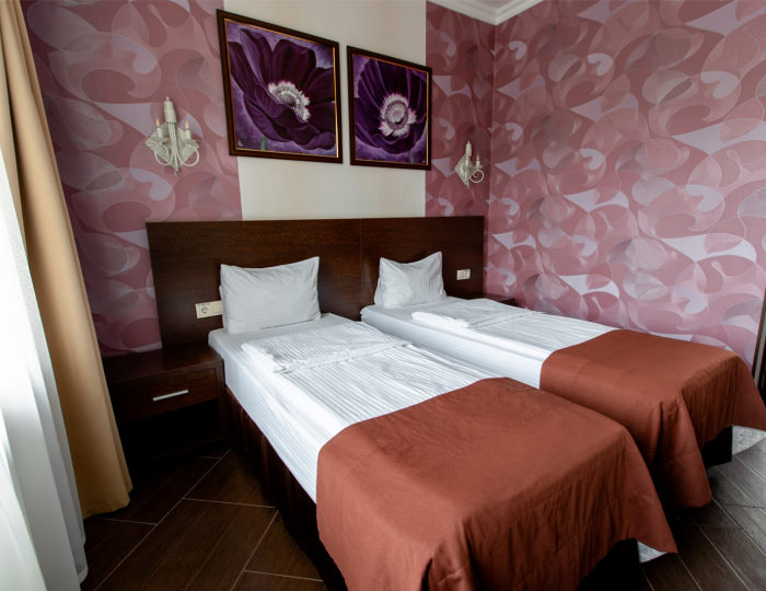 Стандарт Стандарт Twin - Отель Art Hotel / Арт Ессентуки