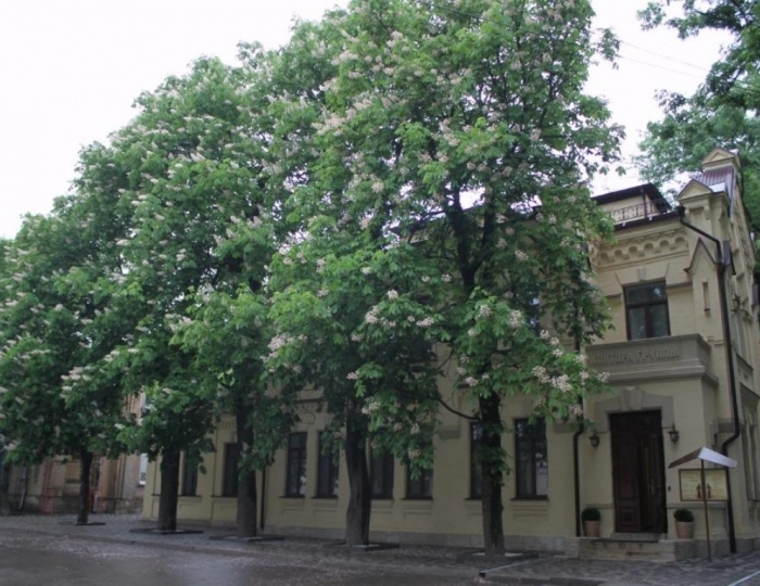 Лечебно-оздоровительный центр «Княжна Мери» Железноводск