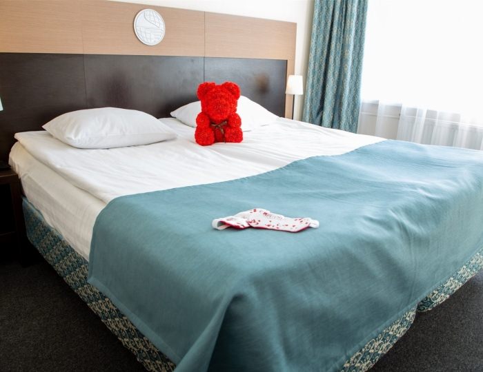 Делюкс - Гостиница «Спутник» Санкт-Петербург