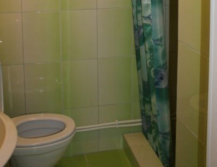 1 категория 2-местный - Санаторий «Чистый ключ» Каменск-Уральский