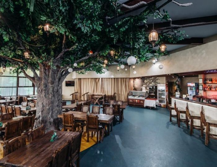 Бар «Лесной» - Парк-отель Lesnoy / Лесной