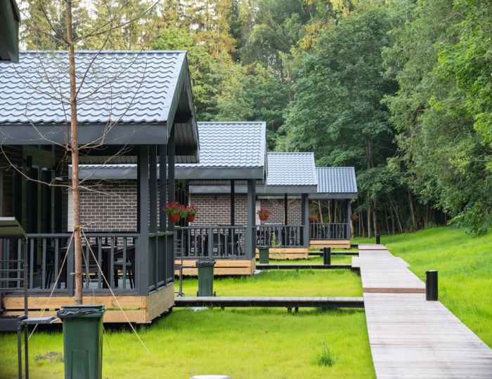 Парк-отель Lesnoy / Лесной