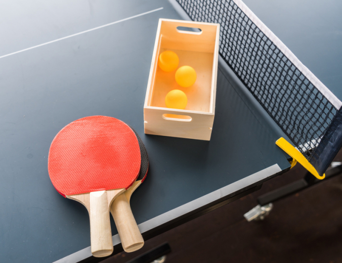 Настольный теннис - Парк-отель Lesnoy / Лесной