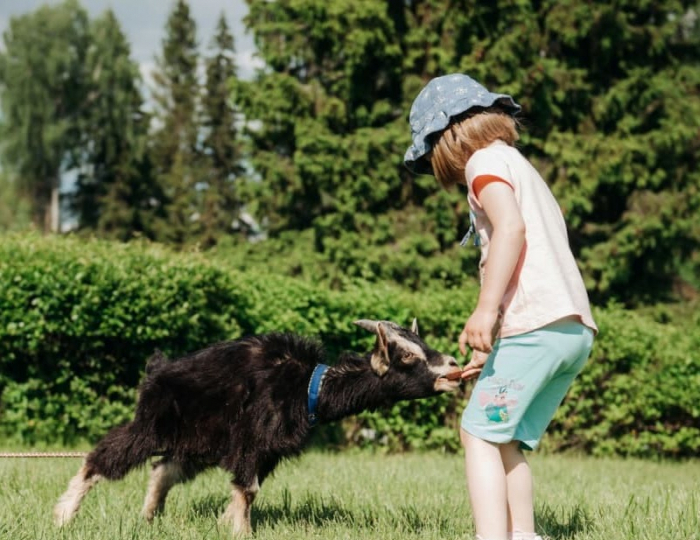 Мини-зоопарк - Парк-отель Lesnoy / Лесной