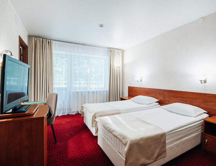 Стандартный номер с диваном - Парк-отель Lesnoy / Лесной