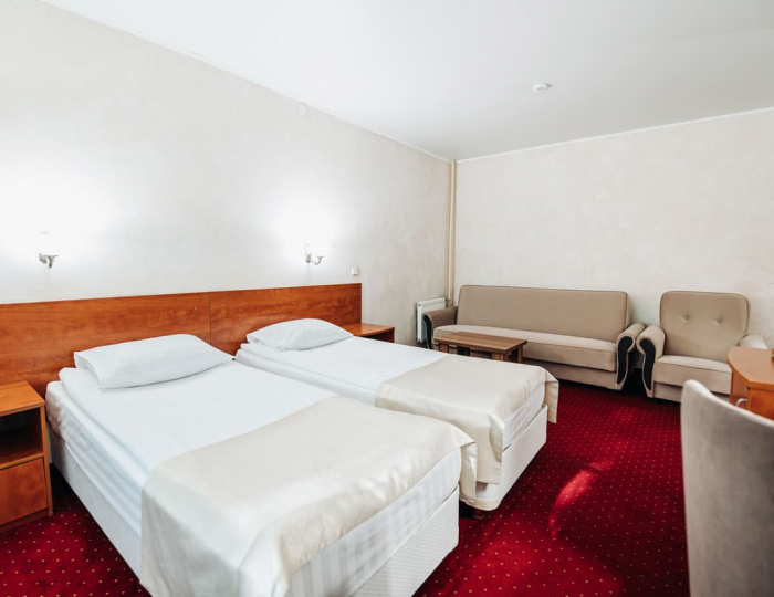 Стандартный номер с диваном - Парк-отель Lesnoy / Лесной