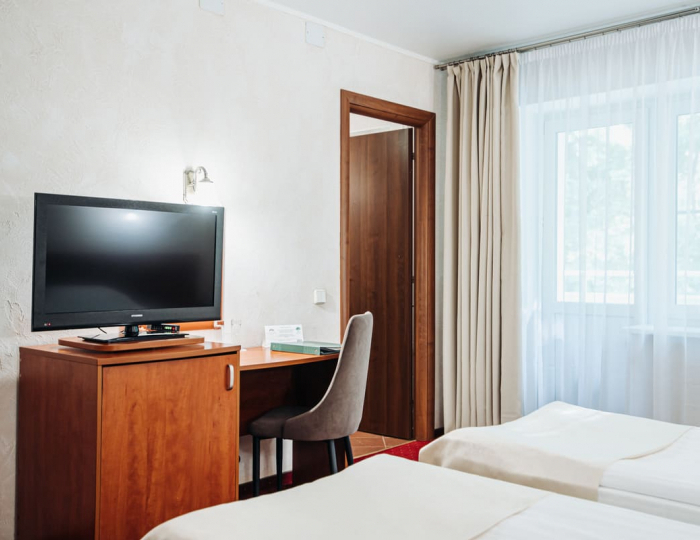 Стандартный номер с диваном - Парк-отель Lesnoy / Лесной