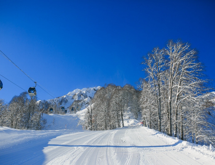 Горнолыжные трассы - Отель Golden Tulip Rosa Khutor / Голден Тюлип Роза Хутор