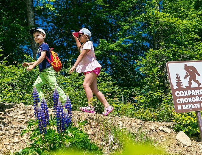 Развлечения: лето (на территории курорта) - Отель Golden Tulip Rosa Khutor / Голден Тюлип Роза Хутор