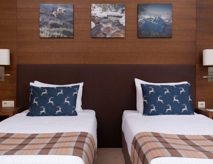 Однокомнатный номер повышенной комфортности с двумя раздельными (без балкона) - Бальнеологический отель Rosa Springs / Роза Спрингс