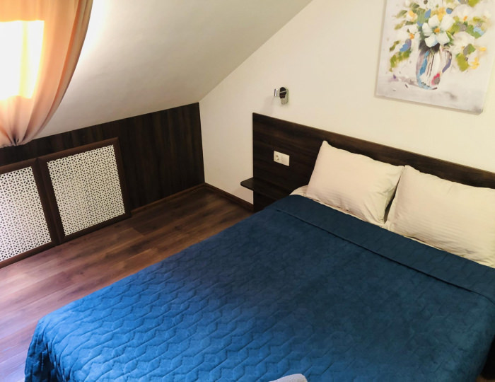 Номер стандарт с 1 двуспальной кроватью (с завтраком, мансарда) - Мини-отель Hermitage / Эрмитаж Северодвинск