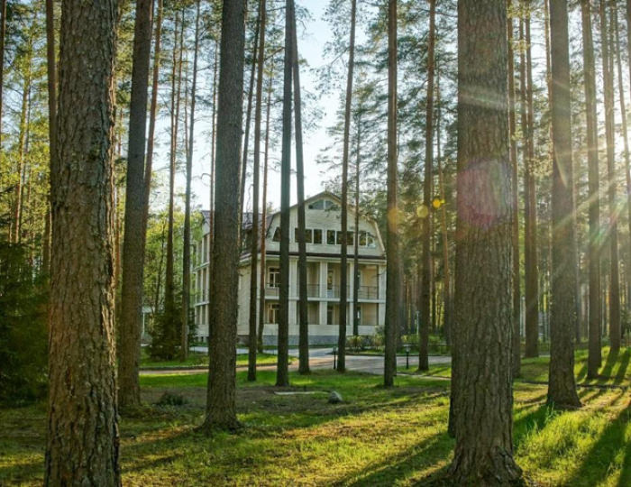 Загородный отель Raivola / Райвола Рощиноской