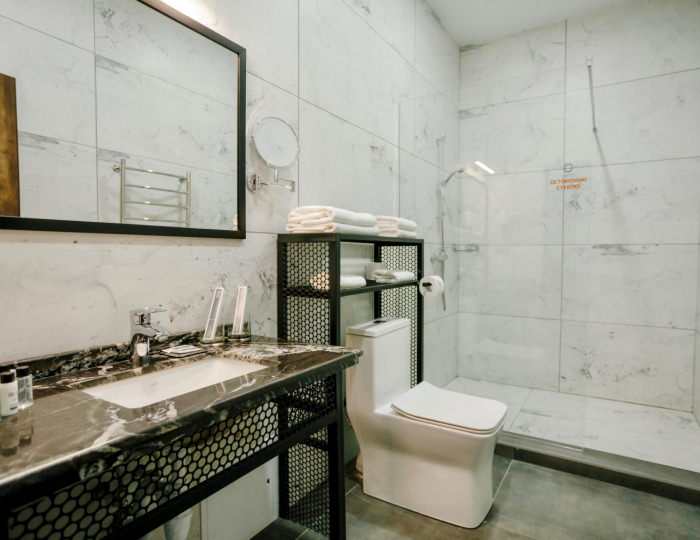 Стандарт Стандарт 1 категории Great - Парк-отель «Псыгупс» Майкоп