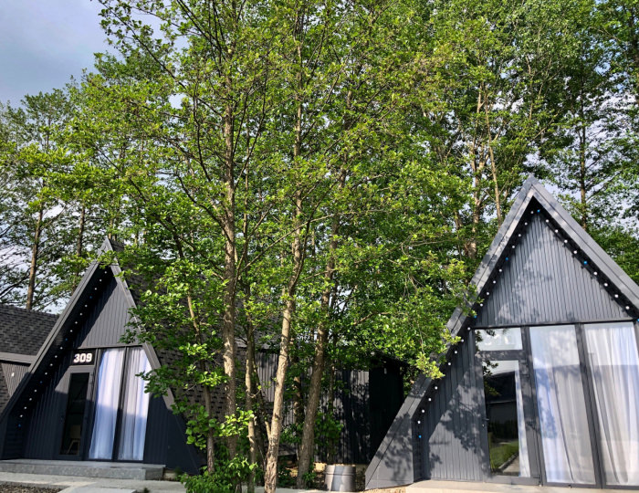 Шале улучшенный джуниор сьюит (студио с кухней) - Парк-отель «Псыгупс» Майкоп