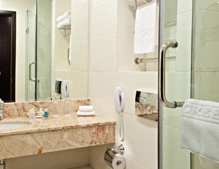 Стандарт 2-местный - Гостиница «Гринвуд» Красногорск