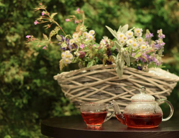 Фито-бар - Отель Green Flow / Грин Флоу