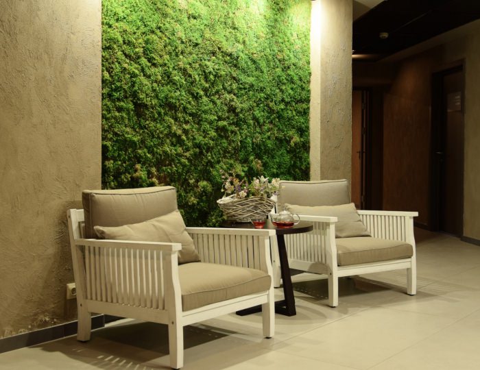 Фито-бар - Отель Green Flow / Грин Флоу