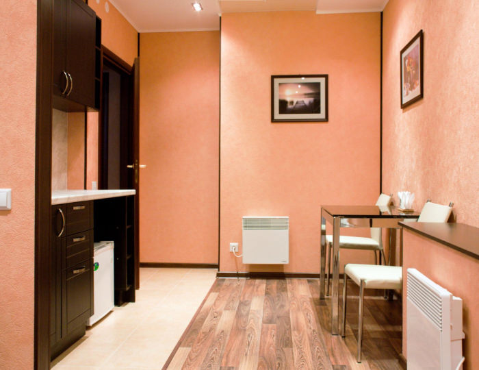 1-комнатные апартаменты стандарт - Отель «Прионежский» Петрозаводск