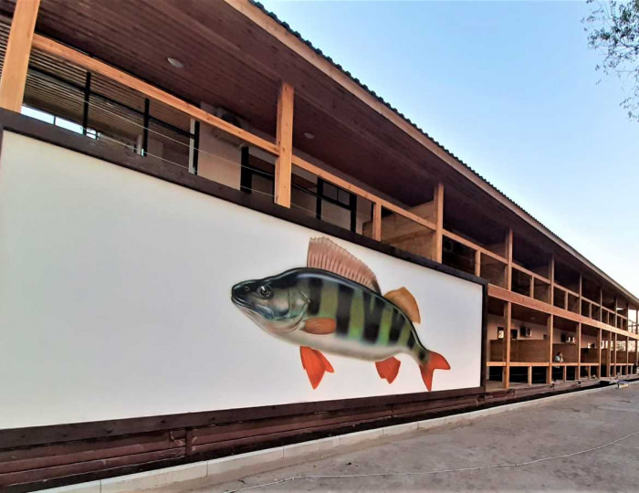 База отдыха Fish Sense / Фиш Сенс Трудфронт