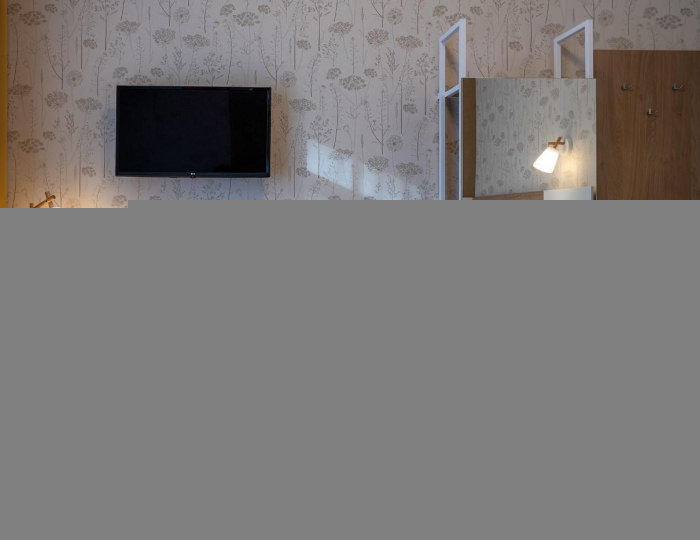 Стандартный 1-местный SGL - Гостиница Botanica Hotel / Ботаника Архангельск