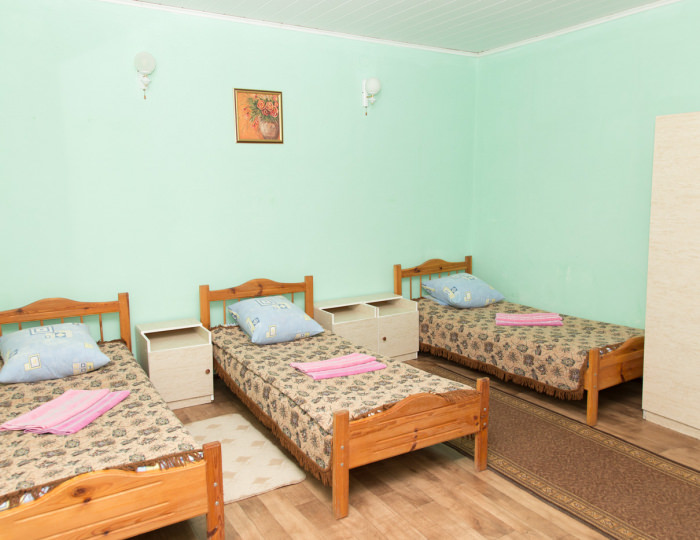Стандарт 3-местный 1-комнатный - База отдыха «Альтернатива» Береговое