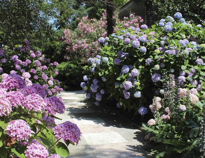 Парк - Санаторий «Южное Взморье»