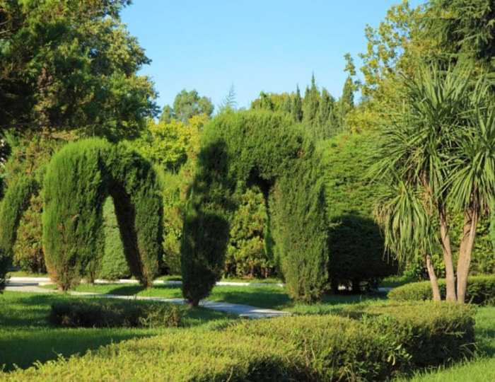 Парк - Санаторий «Южное Взморье»