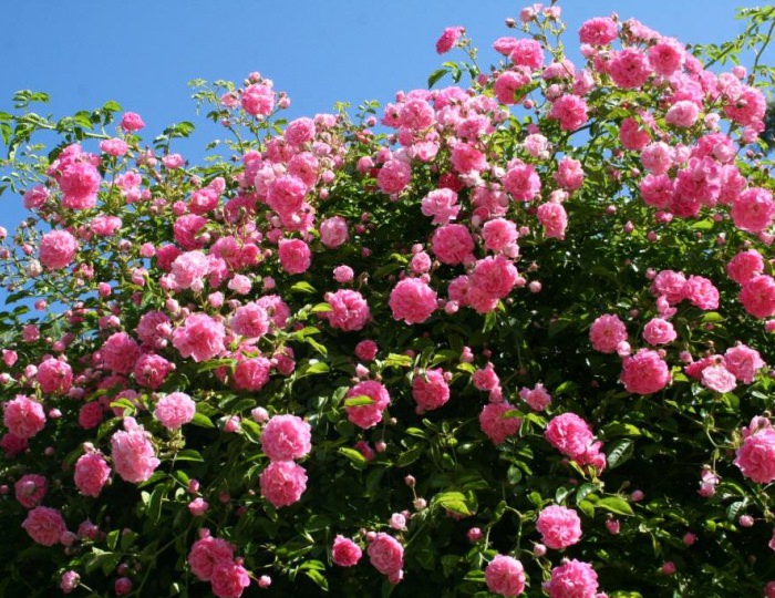 Санаторий «Южное Взморье»